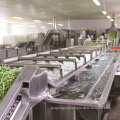 Automatic Fruit and Vegetable Processing Machines